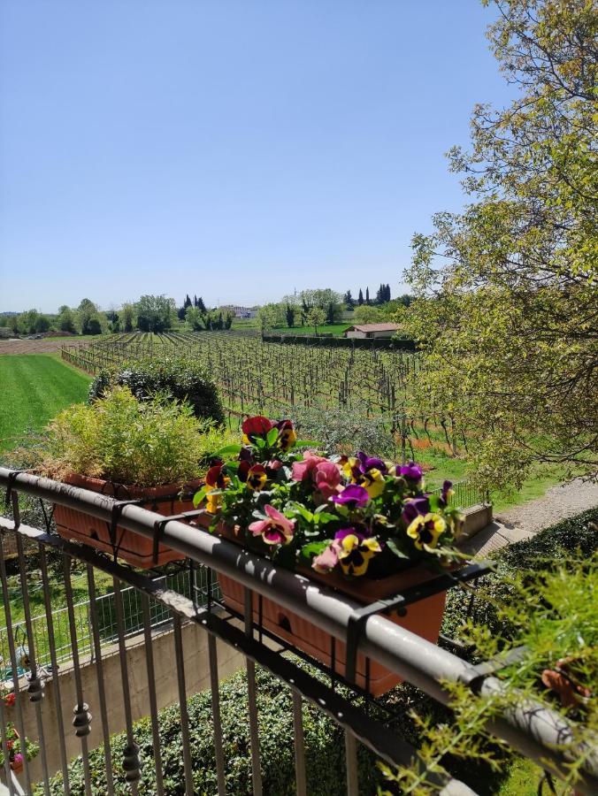 Agriturismo La Vigna Colà エクステリア 写真