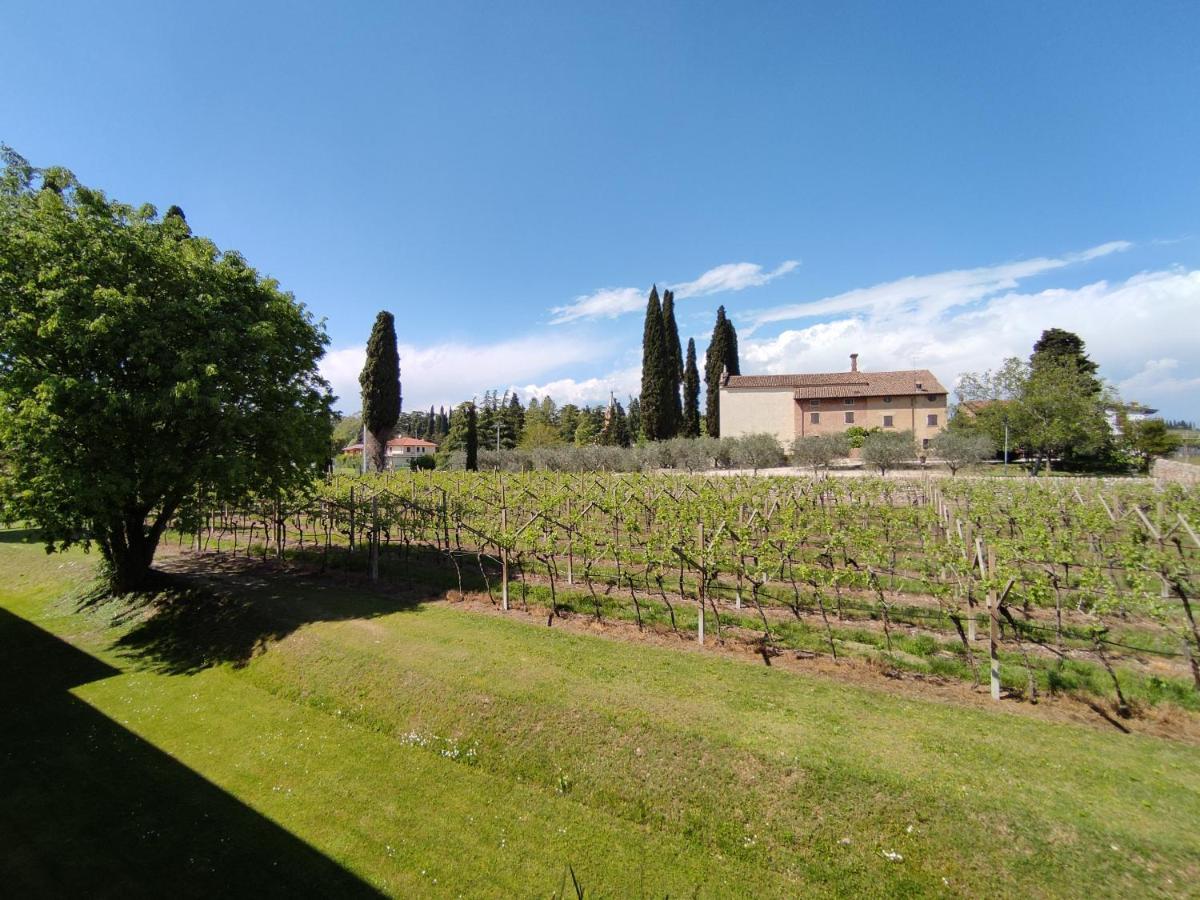 Agriturismo La Vigna Colà エクステリア 写真