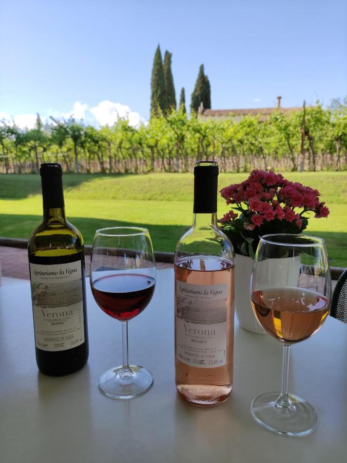 Agriturismo La Vigna Colà エクステリア 写真